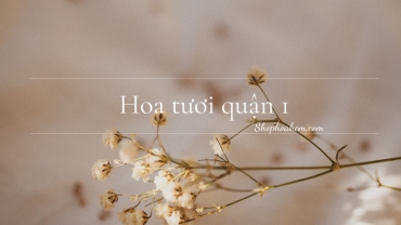 500  mau hoa tuoi quan 1 tuoi moi cuon hut