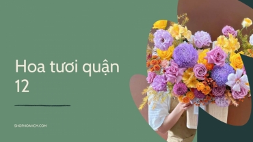 hoa tuoi quan 12 dep chat luong so  1