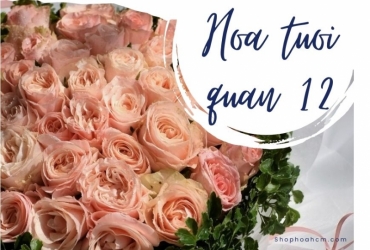 kham pha hoa tuoi quan 3 voi nhung bo hoa dep nhat