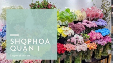 shop hoa quan 1 gia re giao hang hoa toc