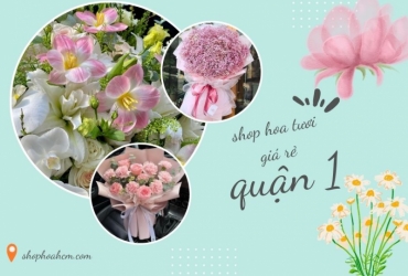 shop hoa tuoi gia re quan 1   noi gui gam yeu thuong