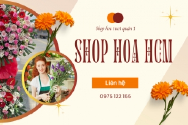 shop hoa tuoi quan 1 gia re uy tin