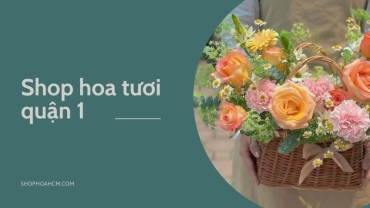 shop hoa tuoi quan 1 uy tin chat luong so 1