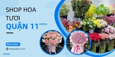 shop hoa tuoi quan 11   dap ung day du moi yeu cau cua ban