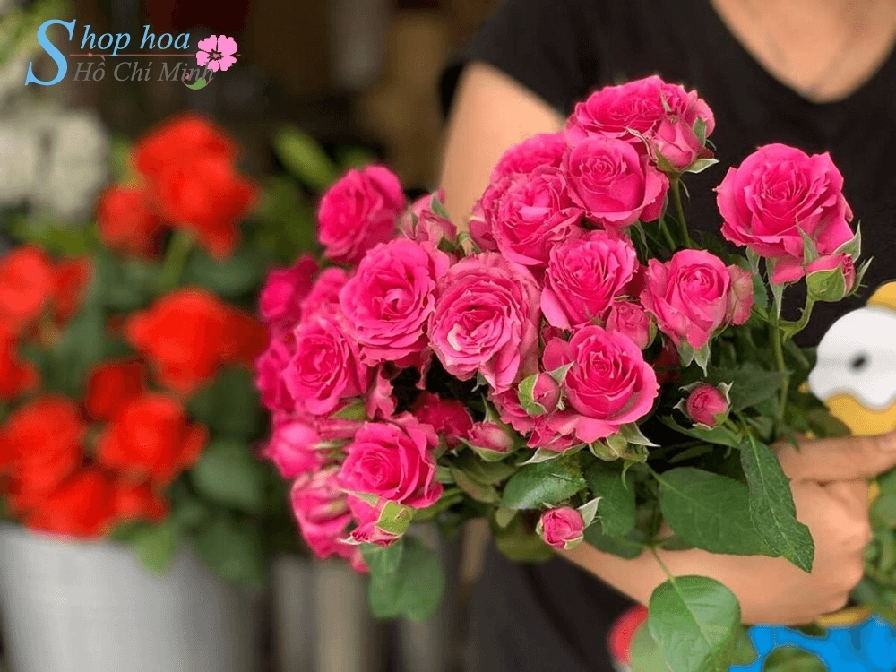 hoa tuoi quan 8 dep va chat luong cho moi dip dac biet