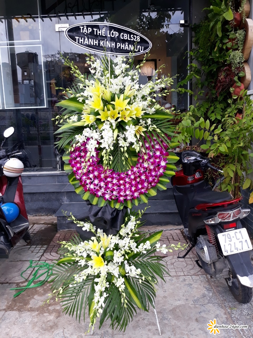 dien hoa chia buon tai hoc mon